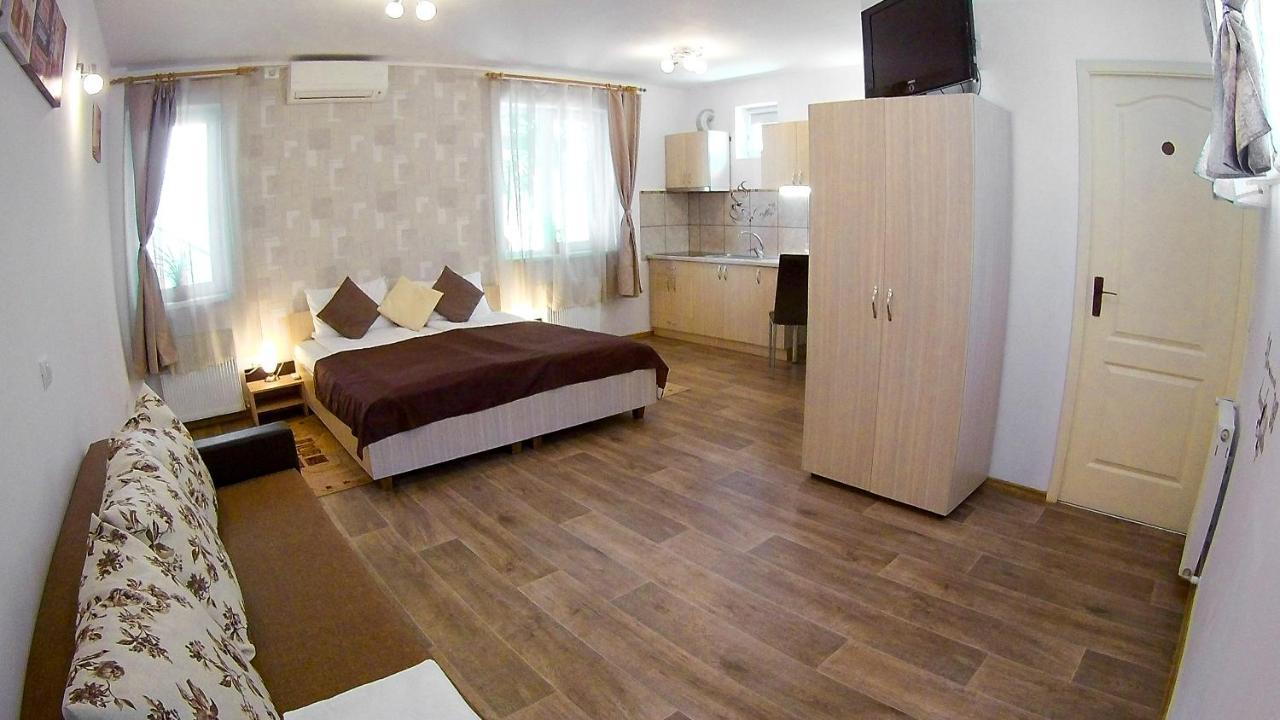 Nice & Cozy Apartments Temešvár Exteriér fotografie