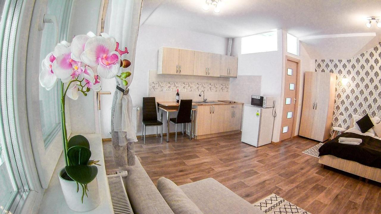Nice & Cozy Apartments Temešvár Exteriér fotografie