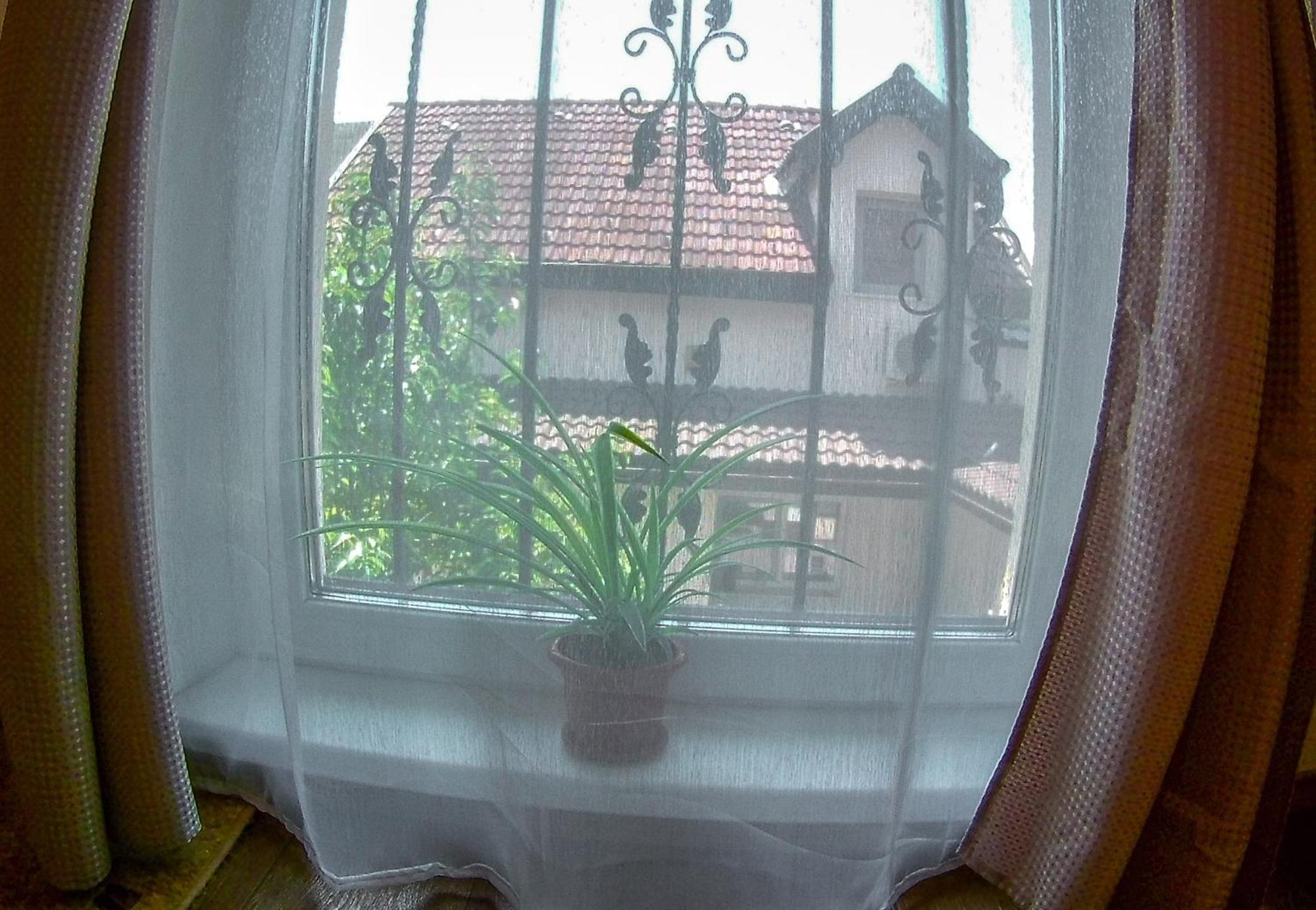 Nice & Cozy Apartments Temešvár Pokoj fotografie